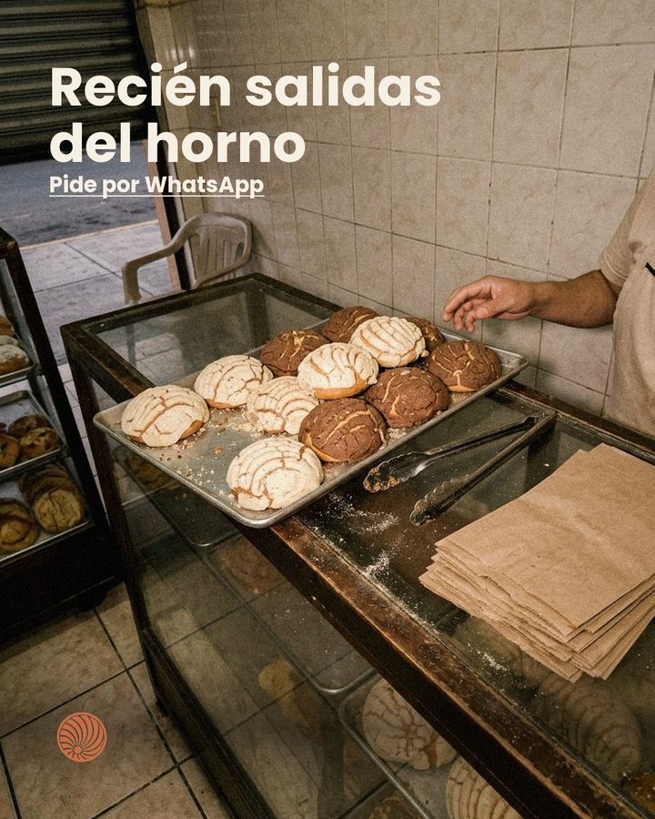 Propuesta tu marca tal cual, foto de celular: la charola de conchas recién salida sobre el mostrador de vidrio