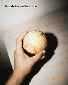 Propuesta «La tendencia» del ejemplo: foto con flash de una mano que sostiene un pan contra la pared, con el titular «Pan dulce recién salido»